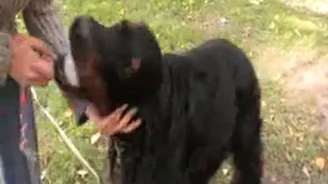 Джей Занятия 9 смотреть онлайн