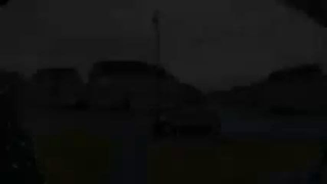 Кот мяукает в камеру 10 минут