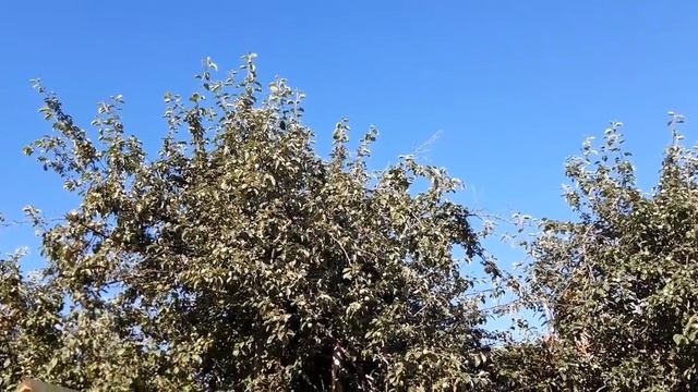Что делать с личными вещами умершего? смотреть онлайн