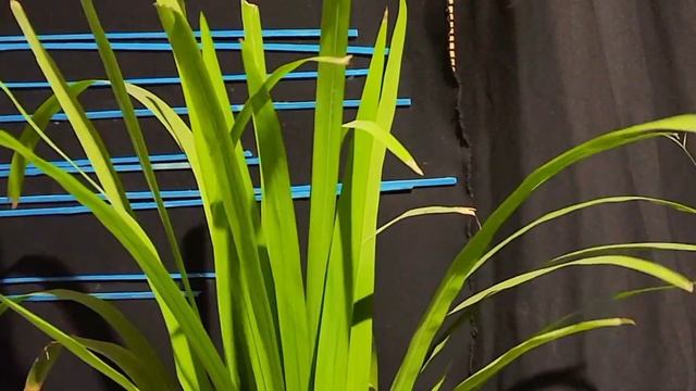 কিভাবে সঠিক নিয়মে নাম রাখবেন | মুফতি মোহাম্মদ মাদানি | Channel Babai смотреть онлайн