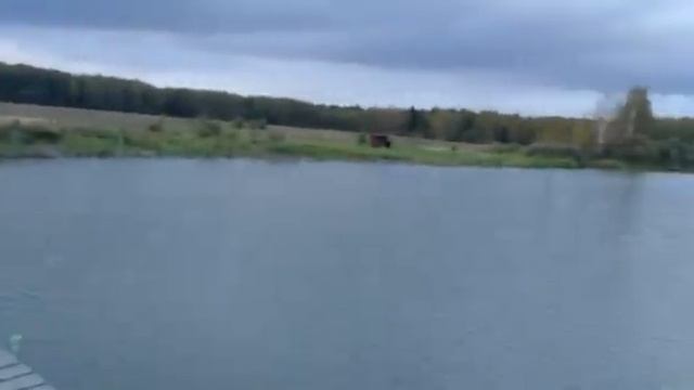 ФОРЕЛЬ, 2019 СЕНТЯБРЬ, МЕРЛЕЕВО смотреть онлайн