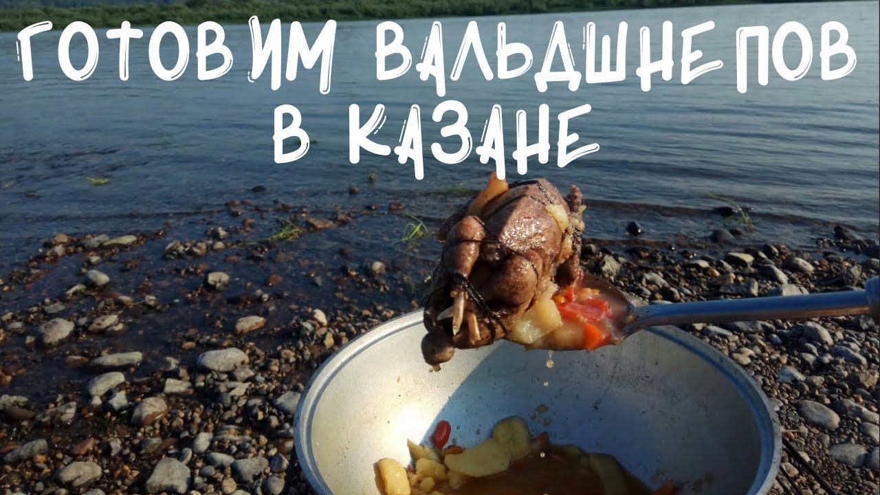 Вальдшнеп тушеный с овощами простой рецепт. Готовим на природе смотреть онлайн