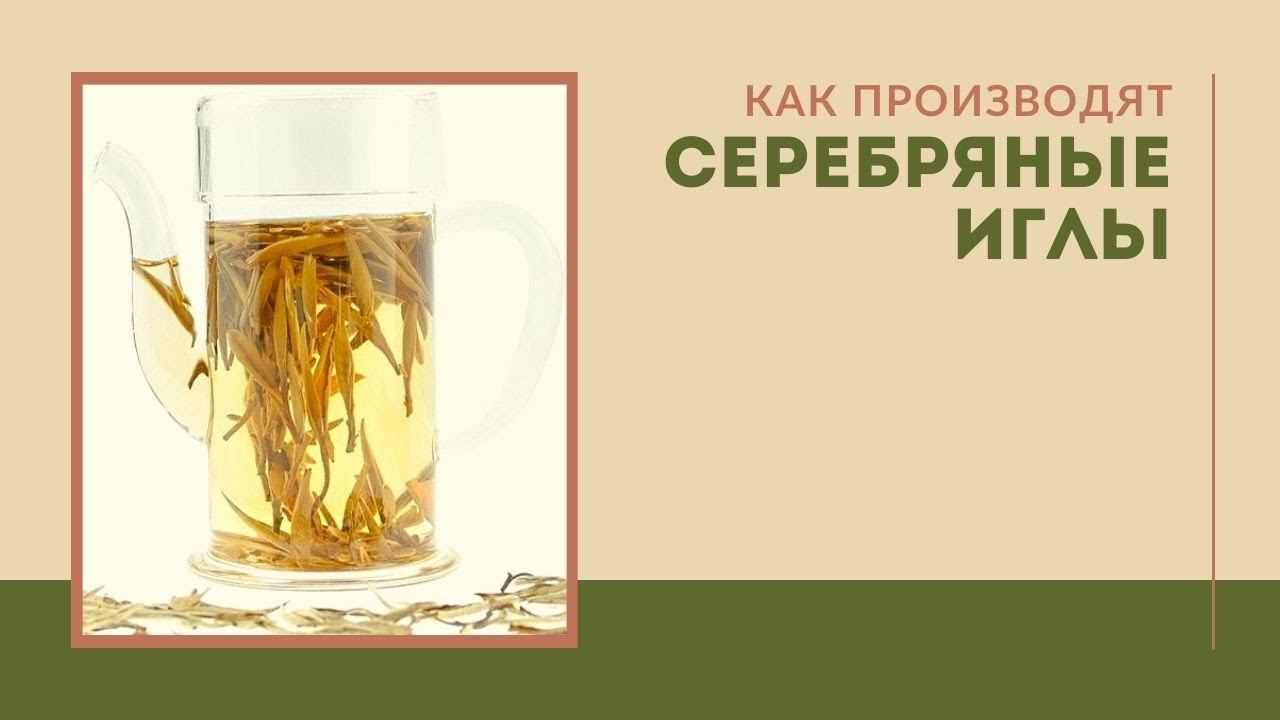 "Серебряные иглы" Бай Хао Инь Чжень смотреть онлайн