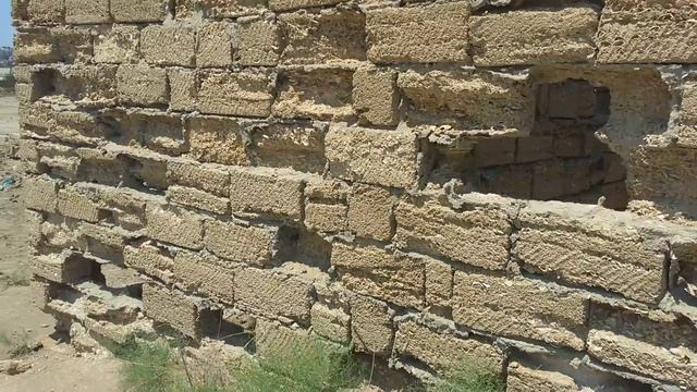 Как сыпется кубики из ракушки (ракушечник) смотреть онлайн