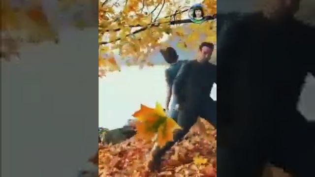 Падают листья...,ну и пусть,зато прозрачен свет... смотреть онлайн