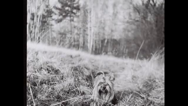 Lubitel 2 camera black & white photos смотреть онлайн