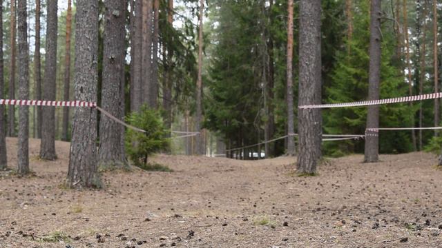 Часть 5 Соревнования по Каникроссу Дистанция 2 км 14 05 23 смотреть онлайн