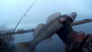 Ловля Судака зимой по открытой воде,зима нас радует погодой.