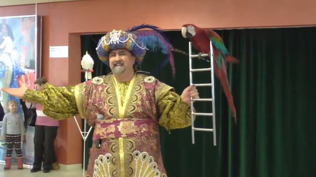 Дрессированные попугаи в Москве, 8(965)380-13-11 смотреть онлайн