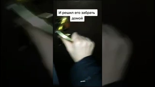 МУЖЧИНА СПАС КОТЁНКА, КОТОРЫЙ ЗАМЕРЗАЛ НА УЛИЦЕ / ПРИЮТИЛ КОТА / man saved kitten смотреть онлайн