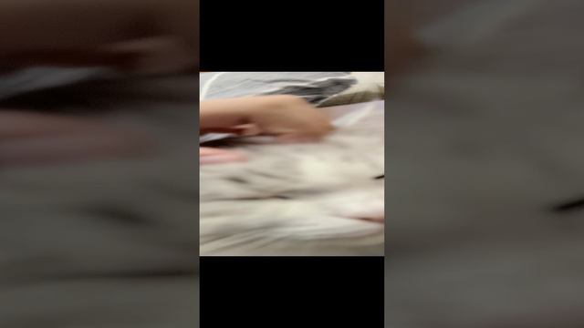 кисточка смотреть онлайн