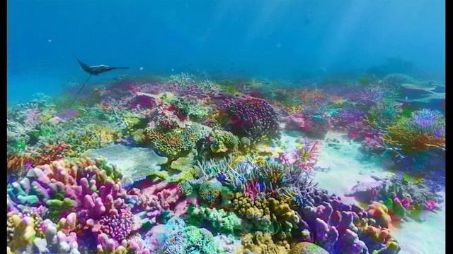 Cover на песню "Коралловые бусы" смотреть онлайн