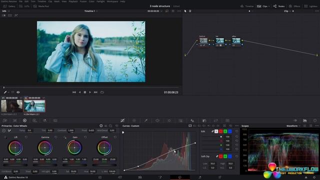 How To Use 3 node Structure When Using a Lut смотреть онлайн