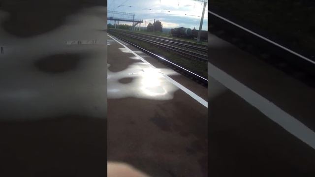 здорово собакин! куда держишь путь? смотреть онлайн