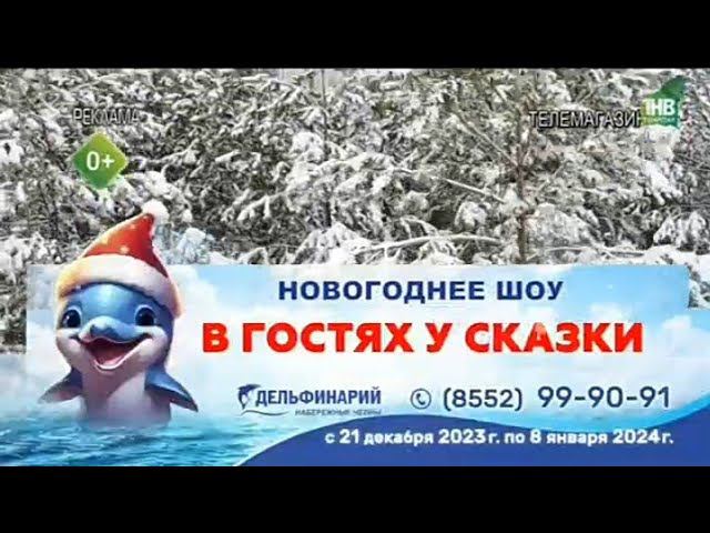Рекламный блок ТНВ 29.12.2023 смотреть онлайн
