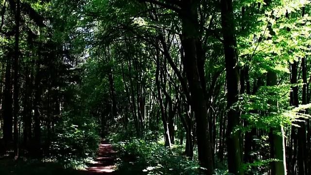 Sarasvati Gayatri Mantra von Nada Brahma in 432 Hz gespielt смотреть онлайн