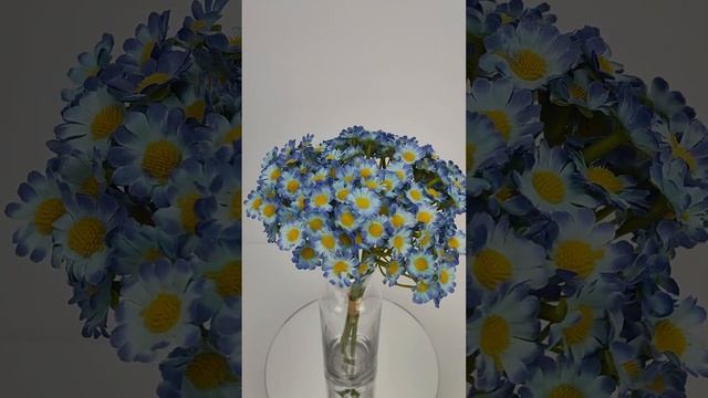 Срез ромашки голубая смотреть онлайн