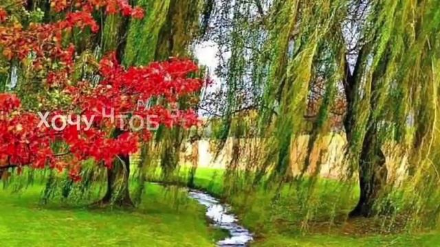 Курбан Байрам - главный праздник мусульман. смотреть онлайн