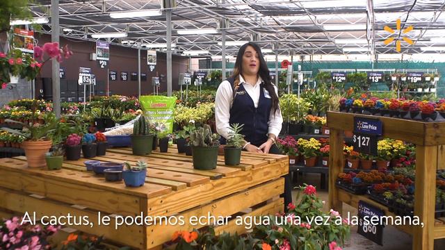 #JardineríaWalmart l Cactus смотреть онлайн