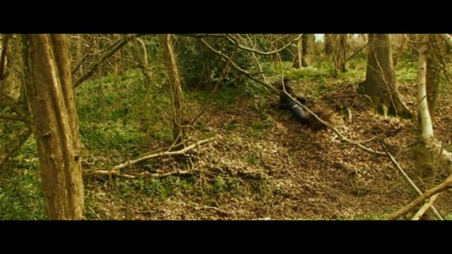 A Vicious Circle Part 3 смотреть онлайн