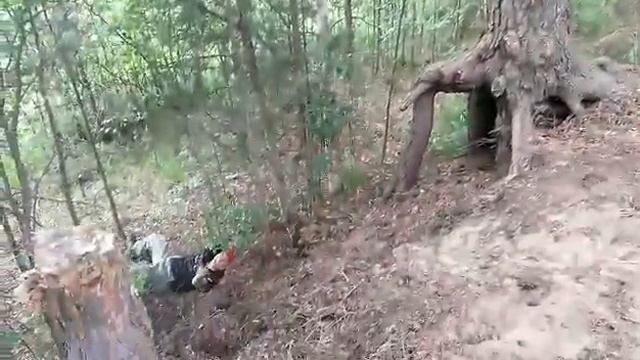 Неудачный прыжок, смотреть онлайн