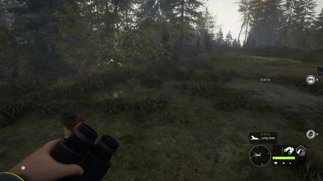 Bloodhound Useful Info - The Hunter: Call Of The Wild смотреть онлайн