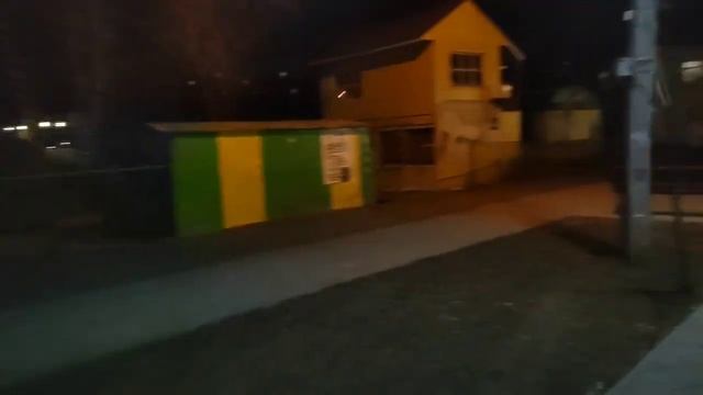 Предновогодний влог. Наряжаем елку, завершаем этот год походом на ёлки и поздравлением. смотреть онлайн