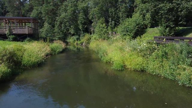 Вельга парк - это лето 🏖️ смотреть онлайн