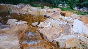 СТРОИТЕЛЬСТВО ПРУДА НА УЧАСТКЕ | Критические ошибки и мифы