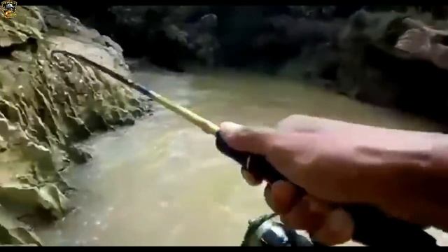 ★Рыбак-это не профессия, рыбак-это характер//Приколы на рыбалке//Бешеный клёв//Приколы на воде//★ смотреть онлайн