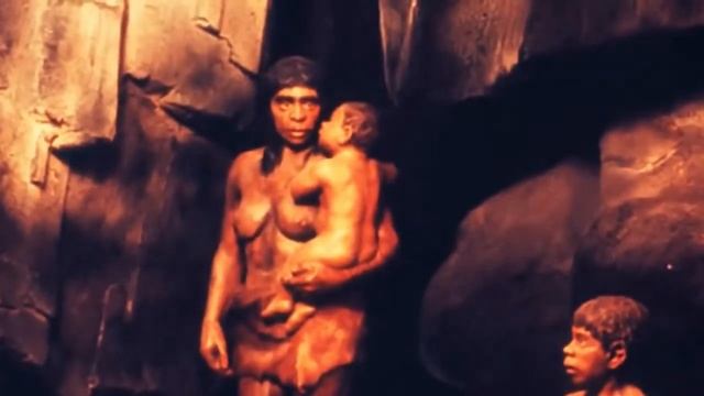 Monkeys vs Humans I Theory vs Practice I Эволюция Мифы и Реальность смотреть онлайн