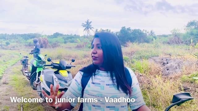 Local Island Visit to Vaadhoo, Gaafu Dhaalu Maldives I Junior farms I vegetable farming in Maldives смотреть онлайн