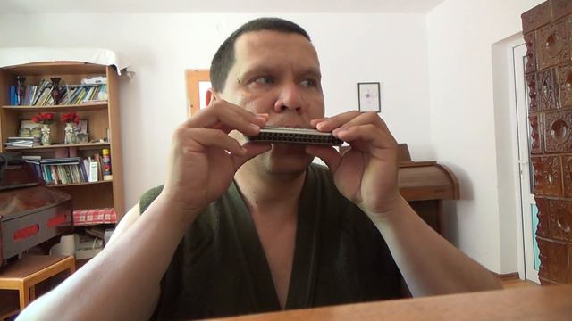 Ye Are The Light Of The World | Hohner Echo Harp 54/64 M 1 A/D смотреть онлайн