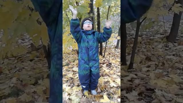 стих "Осень наступила. . . " А.Плещеев, стихи об осени, осенние стихи, стихи для детей. смотреть онлайн