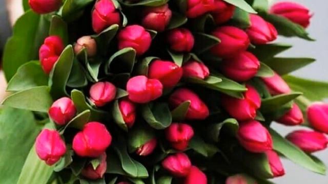 Моя любимая сестра😘 смотреть онлайн