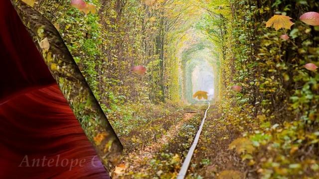 Les plus beaux paysages du monde - une vidéo à couper le souffle ! смотреть онлайн