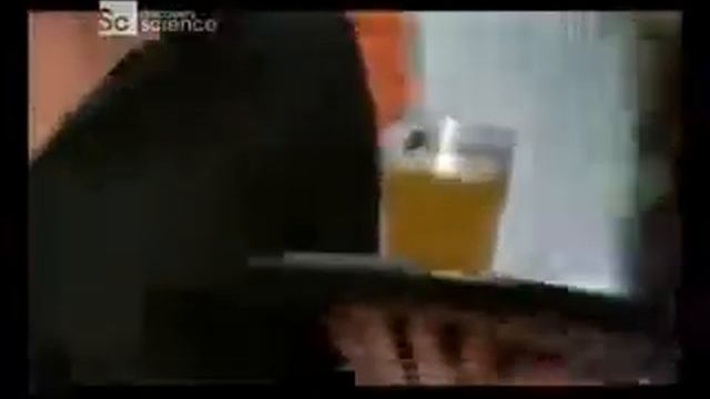 Подражание как средство коммуникации. смотреть онлайн