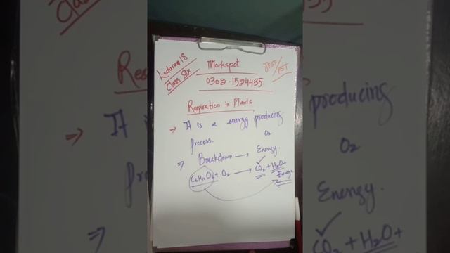 ||IBA|JEST|PST|Science 6|Respiration In Plants|Lecture 17| смотреть онлайн