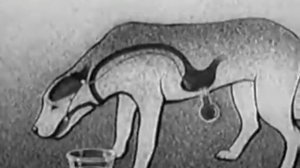 Собака Павлова. Пищеварительный тракт