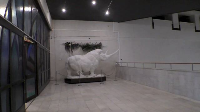 Дарвиновский музей / Кости динозавров / Экспонаты животных смотреть онлайн