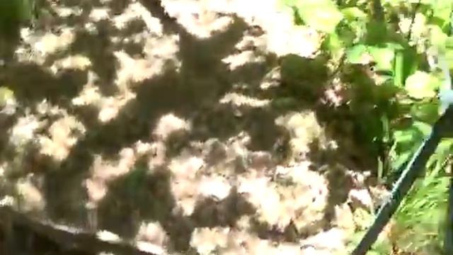 4_май_2014-г_Водопад Глубокий яр,пос.Монастырь,Адлерский р_он.mp4 смотреть онлайн