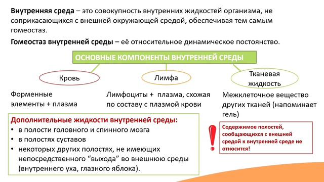 Внутренняя среда организма смотреть онлайн