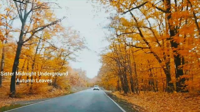 Sister Midnight Underground - Autumn Leaves смотреть онлайн