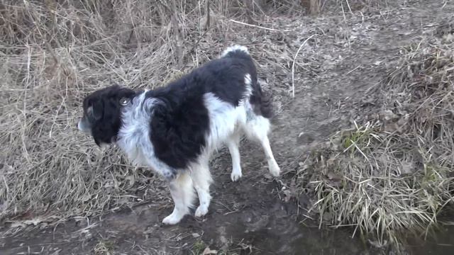 Одиночный поход в берцах / Офигенный день / Развожу костёр смотреть онлайн