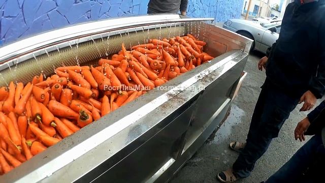 Машина мойки и полировки овощей от РостПищМаш смотреть онлайн