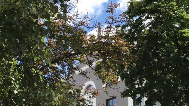 Гомельский колледж искусств им. Н.Ф. Соколовского Корпус 2 Гомель смотреть онлайн