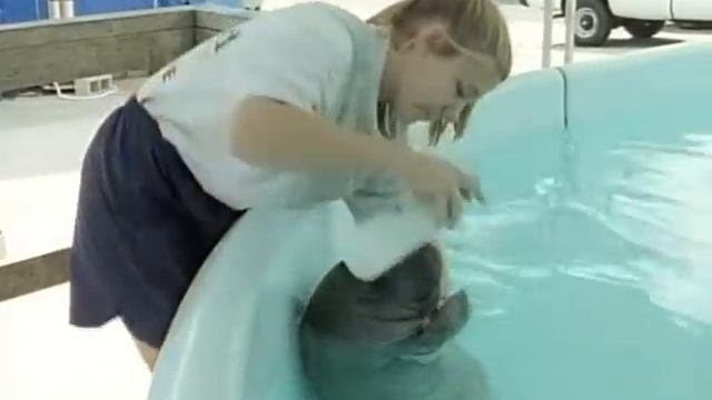 Fabulous Animals: Mermaids and Sirens - The Sea Cow смотреть онлайн