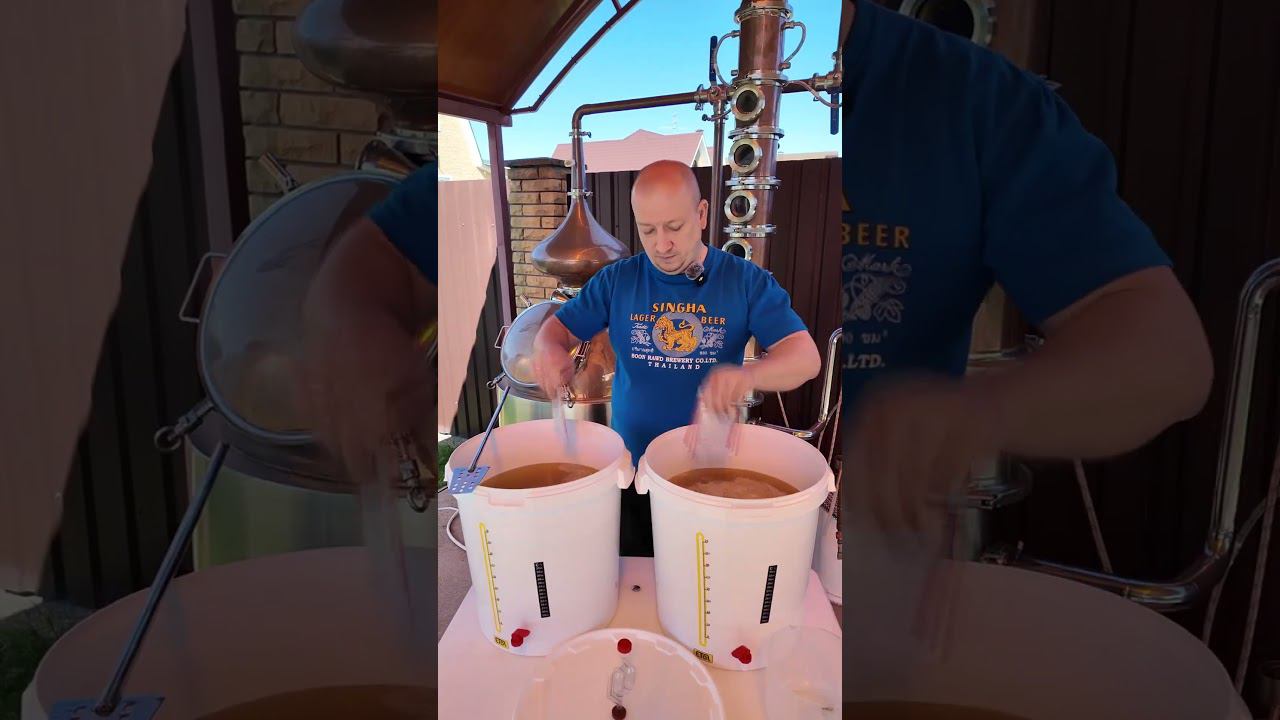 Абрикосовый самогон #самозванцы #shorts смотреть онлайн