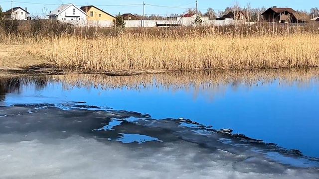 Вербы, выдра - это чудо! смотреть онлайн