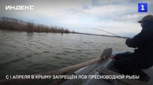 С 1 апреля в Крыму запрещён лов пресноводной рыбы